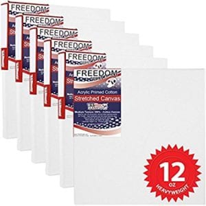 10 X 10 inch Professional Quality Acid Free Stretched Canvas 6-Pack