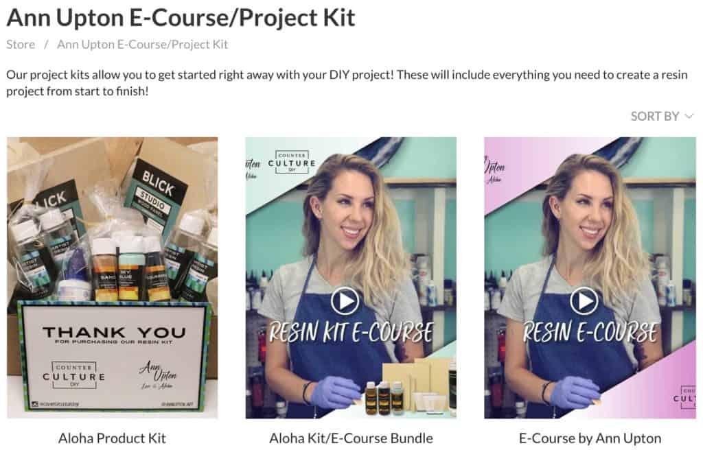 Ann Upton E Course Project Kit